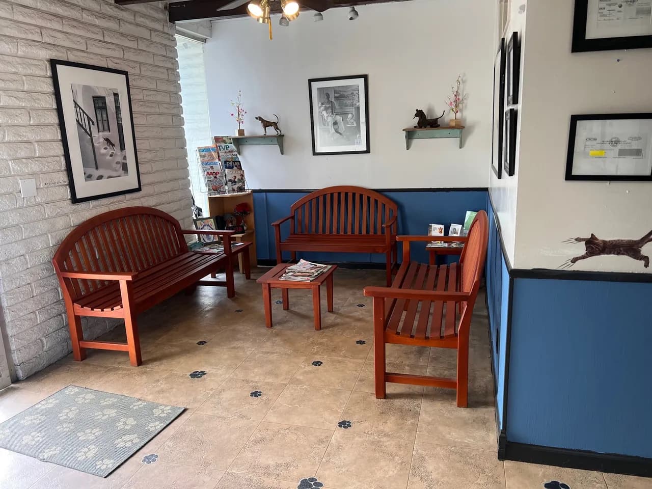 Photo 1 of the Affordable Animal Hospital Orange office